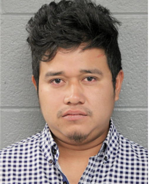 ESVIN OSVELI DE LEON GUZMA, Cook County, Illinois