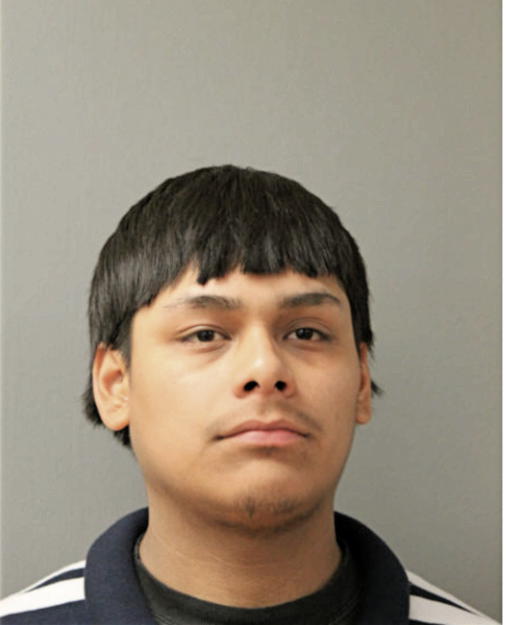 ANDRES G DELGADO, Cook County, Illinois