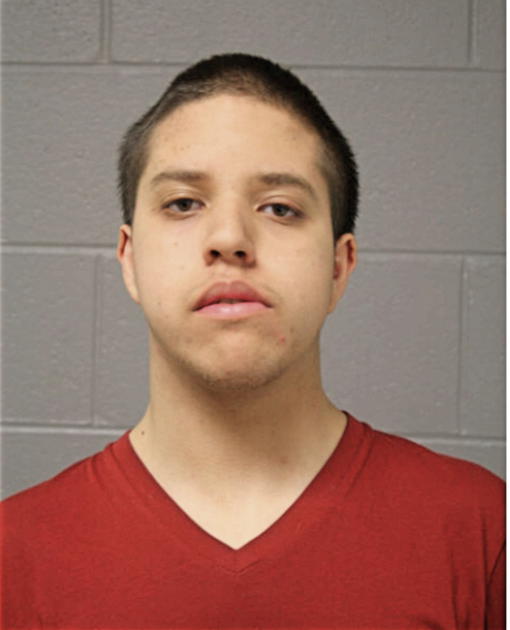 RUBEN H FLORES, Cook County, Illinois
