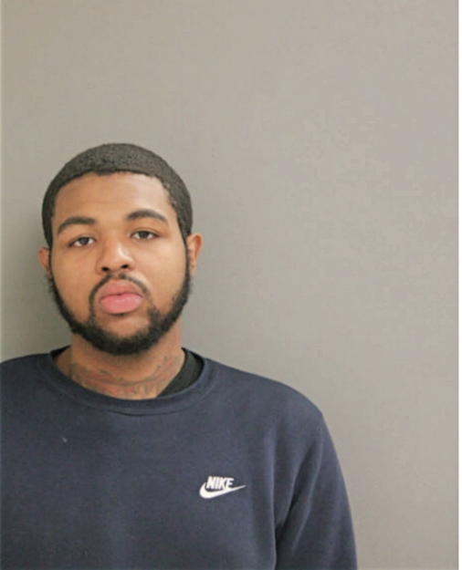 BRUCE E FORD, Cook County, Illinois