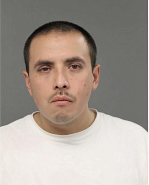 JOSE P GARCIA, Cook County, Illinois
