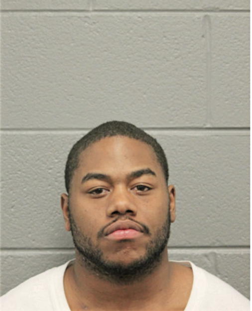 JUSTIN S GARMON, Cook County, Illinois