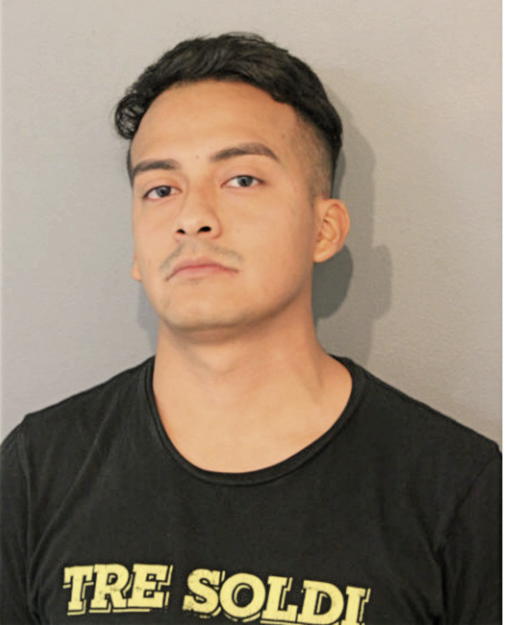 ERIK A GUAMAN, Cook County, Illinois