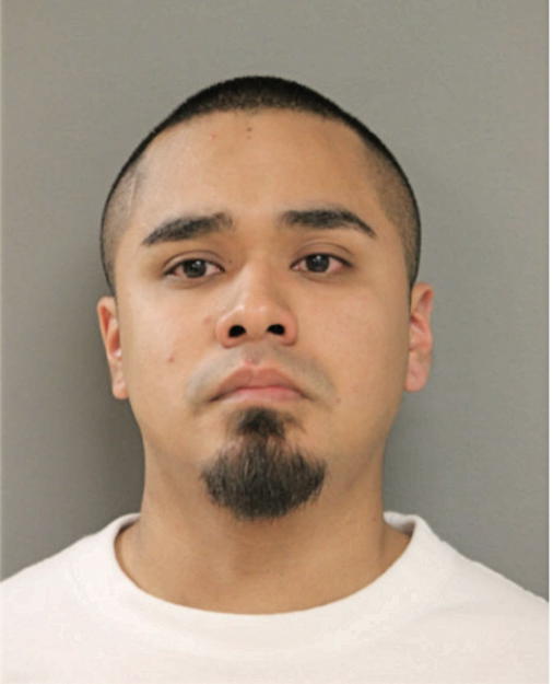 DIEGO E HERNANDEZ, Cook County, Illinois