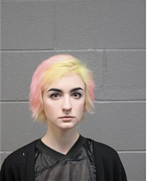 TERA JO SHERWIN, Cook County, Illinois