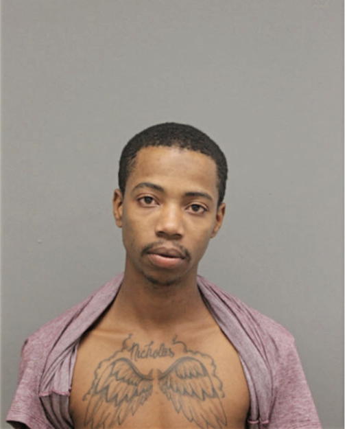 BRANDON D JOHNSON, Cook County, Illinois