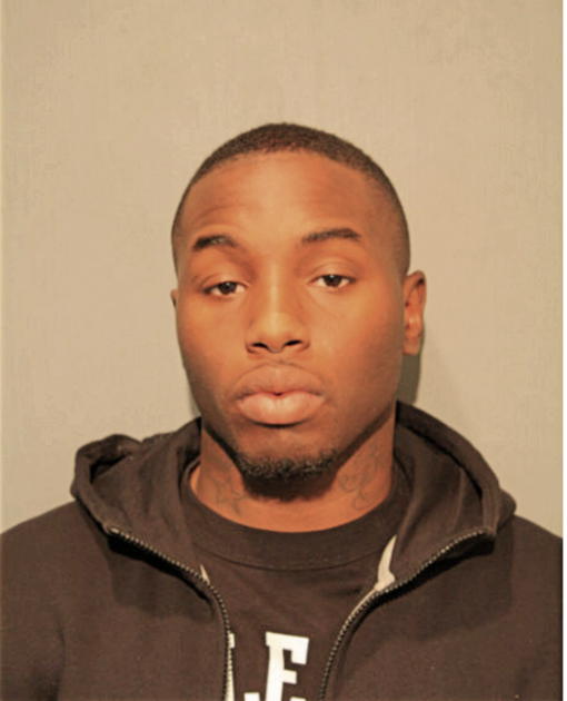 NATHANIEL J JOHNSON, Cook County, Illinois