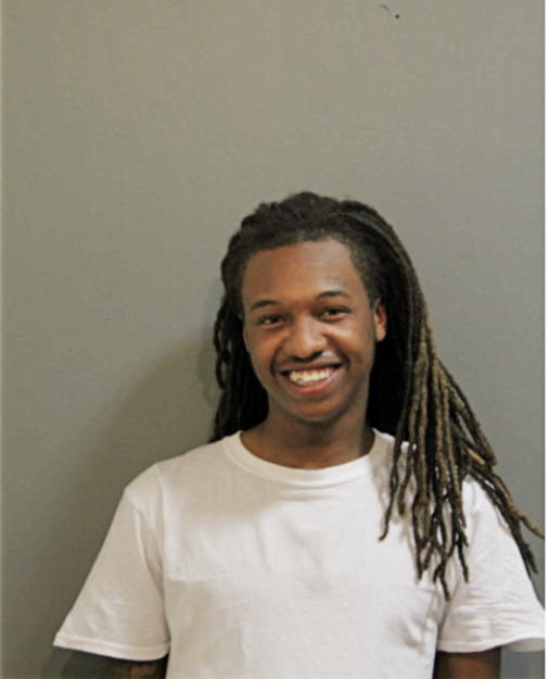 RAYMOND S LEE, Cook County, Illinois