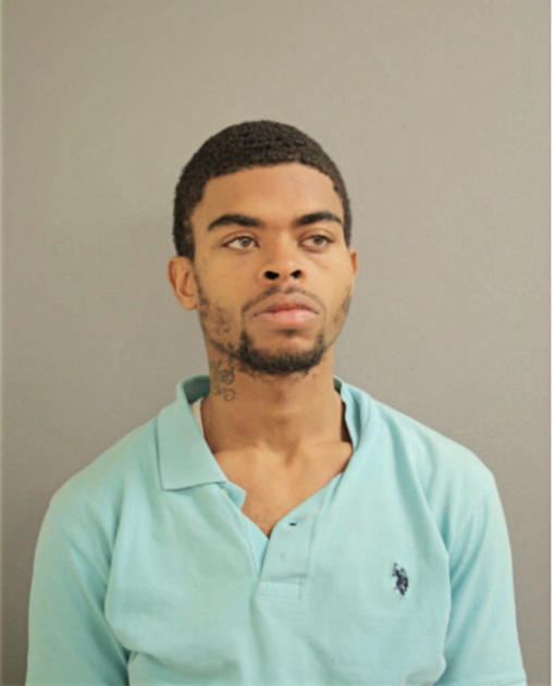 TYRELL LEE, Cook County, Illinois