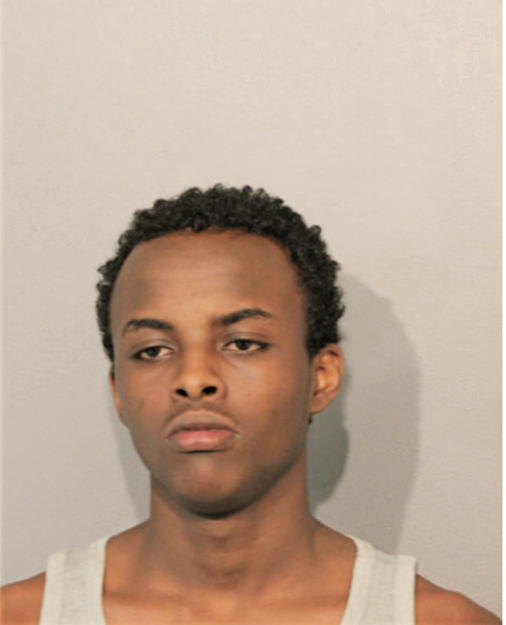MOHAMED N MOHAMED, Cook County, Illinois