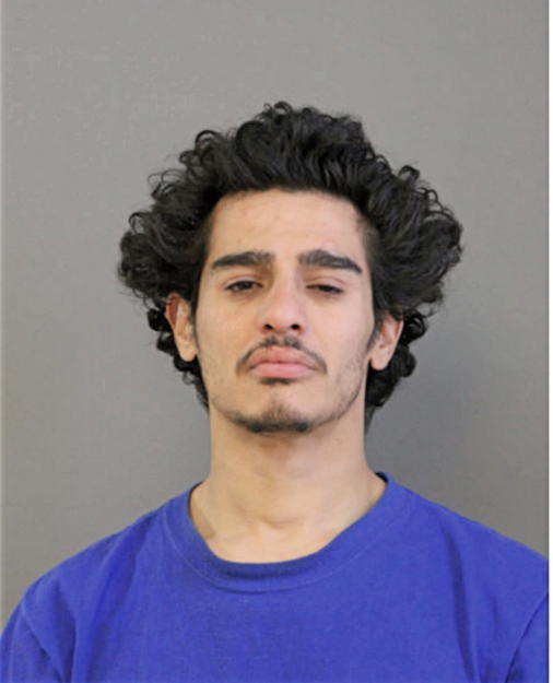 JUAN L MONTERO, Cook County, Illinois