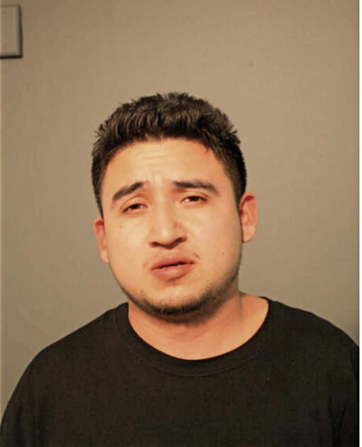 FERNANDO MORA, Cook County, Illinois