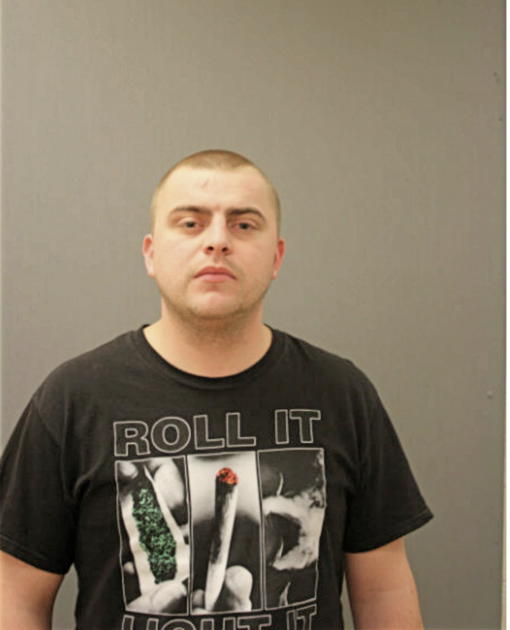 VOLODYMYR SACHYK, Cook County, Illinois