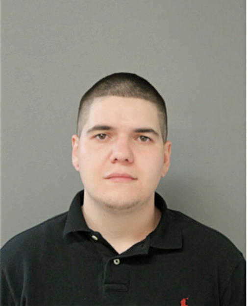 NICOLAE C SERBAN, Cook County, Illinois