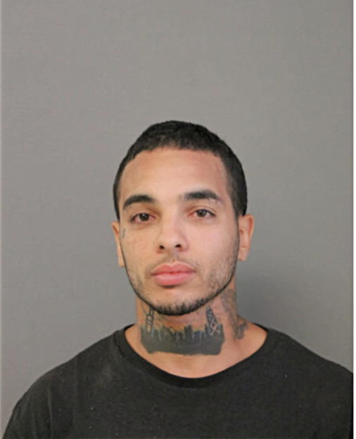 LUIS A TORRES LOPEZ, Cook County, Illinois
