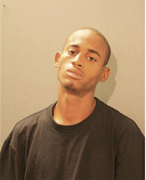 DIONTE L VAUGHNS, Cook County, Illinois