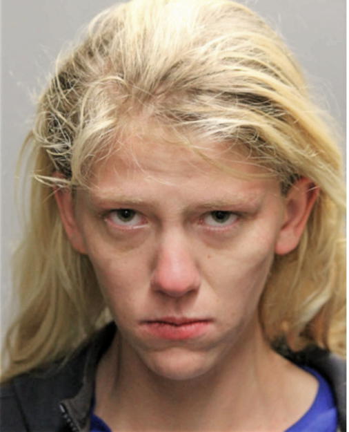 CAITLIN E WOOD, Cook County, Illinois
