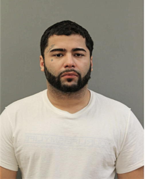 ANIBAL ALVARADO, Cook County, Illinois