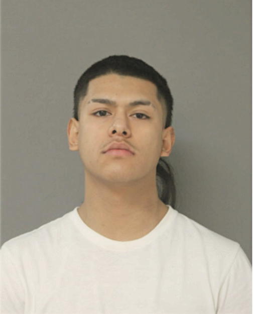 JESUS RONALDO ARCEO, Cook County, Illinois