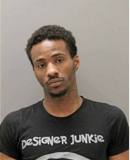 RAPHAEL S BELL, Cook County, Illinois
