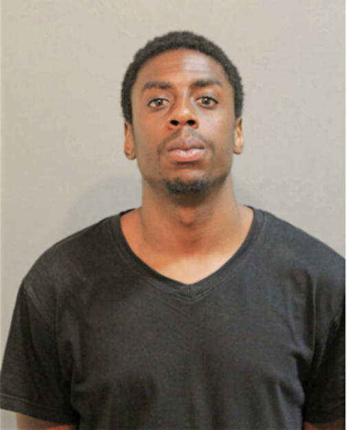 TYLER J CAMPBELL, Cook County, Illinois