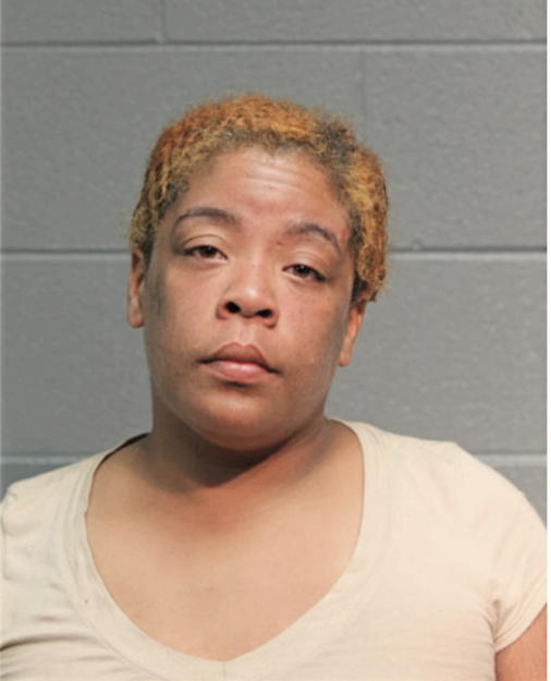 ASHLEY M DAVIDSON, Cook County, Illinois