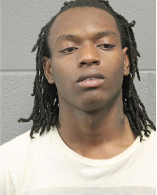 TERRELL S DICKERSON, Cook County, Illinois
