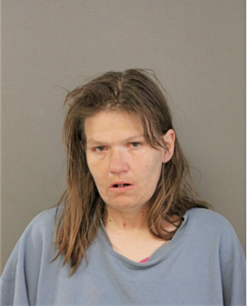 JULIE L FERGUSON, Cook County, Illinois