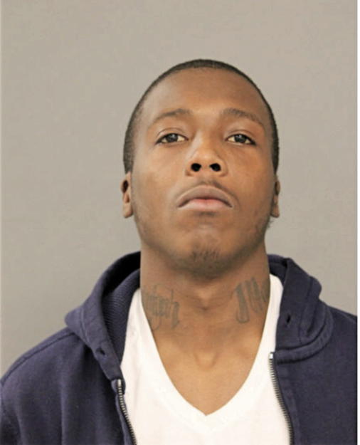 DAMIEN S FLAUNDER, Cook County, Illinois