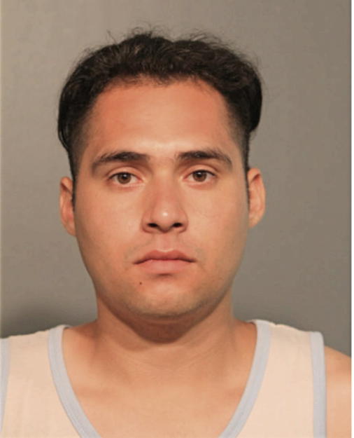 ANTHONY N FLORES, Cook County, Illinois