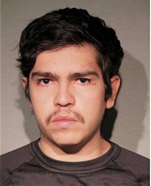 MAURICIO A FRANKLIN, Cook County, Illinois