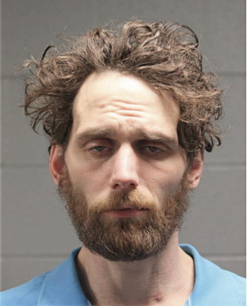ROSS J FRANKOVICH, Cook County, Illinois