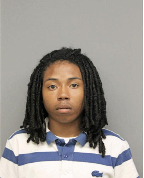 DERRICK L HALL, Cook County, Illinois