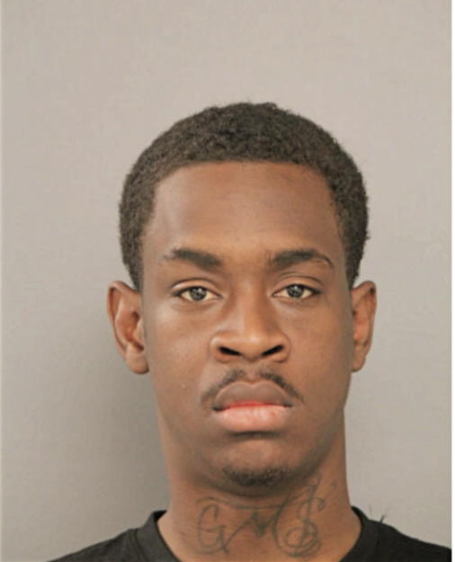 AARON L JACKSON, Cook County, Illinois
