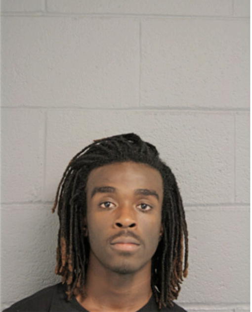 ERIC J JOHNSON, Cook County, Illinois