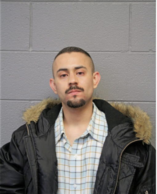 SAMUEL LEON, Cook County, Illinois