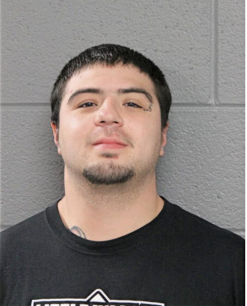 RICARDO I PENAFLOR, Cook County, Illinois