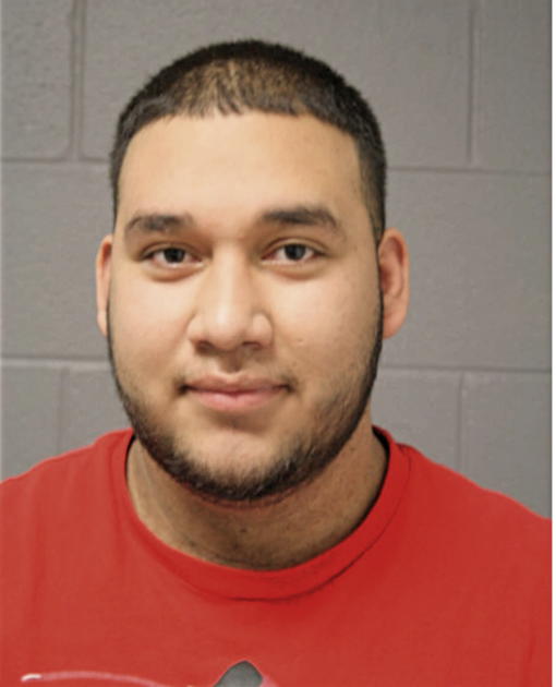 JUAN V PULIDO, Cook County, Illinois