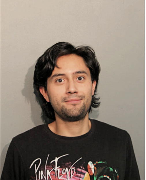 RODRIGO A ROJAS, Cook County, Illinois