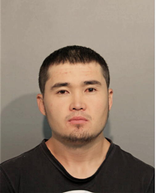 NURADYL R RYSBAEV, Cook County, Illinois
