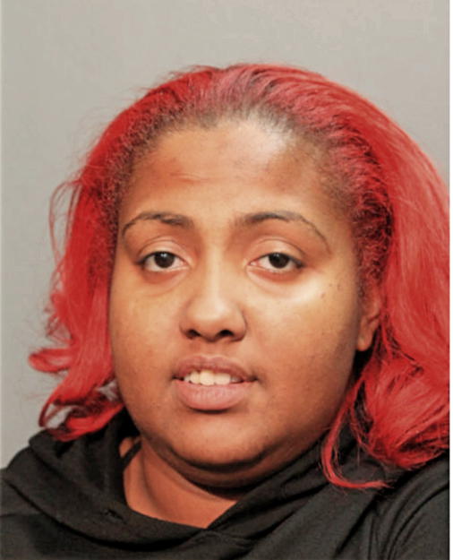 ANGEL E TORRES, Cook County, Illinois