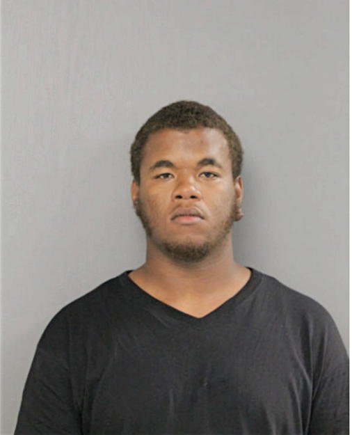 BRANDON C WILLIAMS, Cook County, Illinois