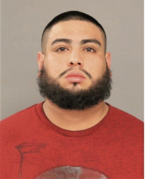 JOSE GUSTAVO ALEJANDRE, Cook County, Illinois