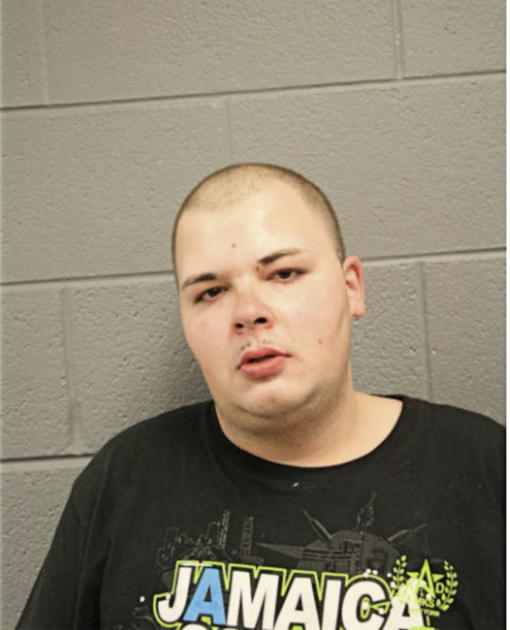 LUIS ARCE, Cook County, Illinois