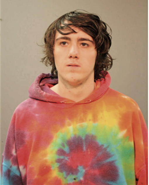 DANIEL BREVIK, Cook County, Illinois