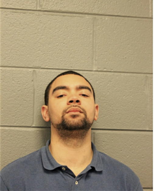 BRANDON CUNNINGHAM, Cook County, Illinois