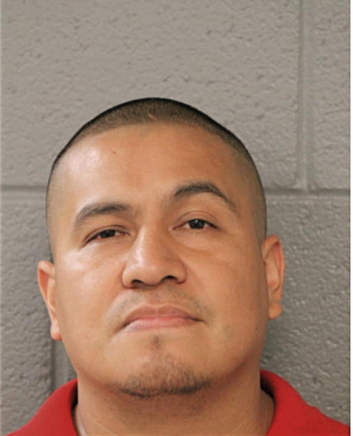 JOSE A FLORES, Cook County, Illinois