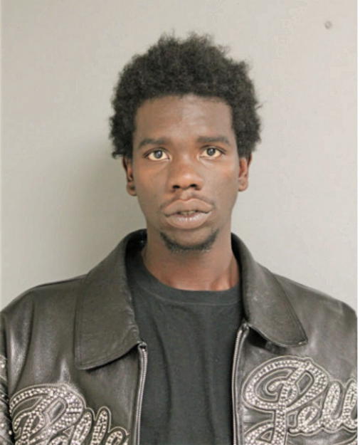 DESHAWN L GREER, Cook County, Illinois