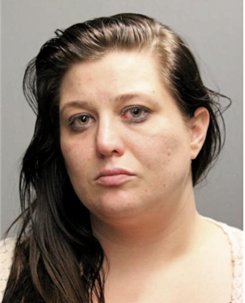 SARAH B HALPIN, Cook County, Illinois