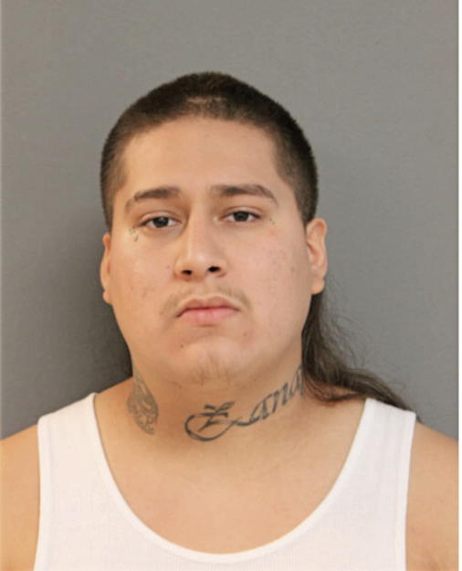 NOEL A HERNANDEZ, Cook County, Illinois
